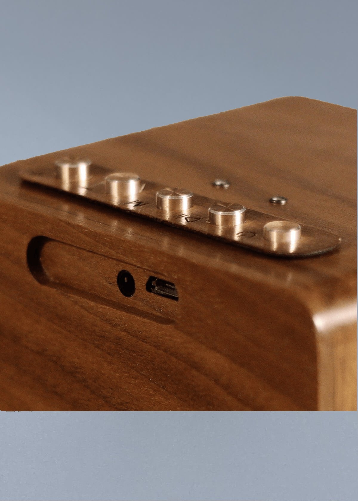 THE CUDO COLLAB SPEAKER - Descendant of Thieves